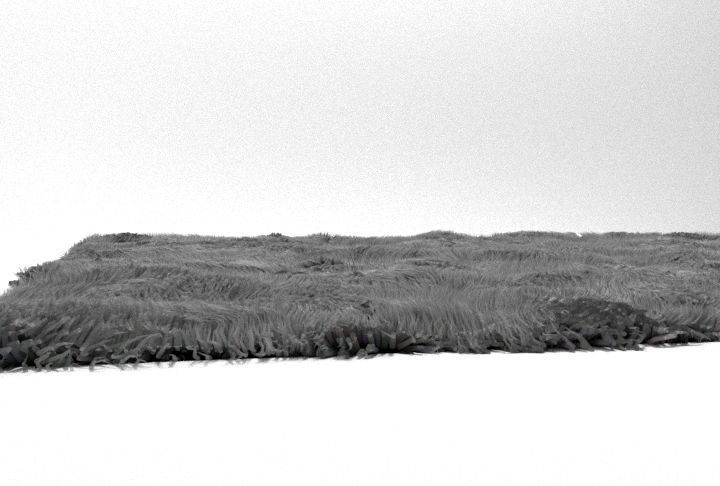 black Carpet Low-poly 3D model_2