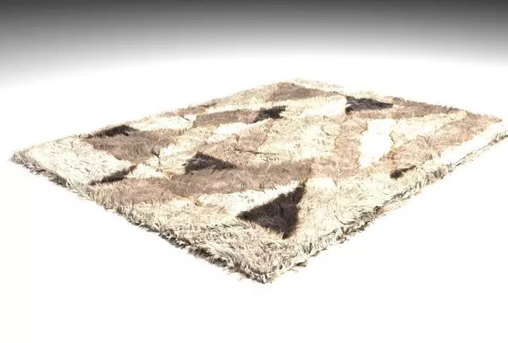 Printed Carpet Low-poly 3D model
