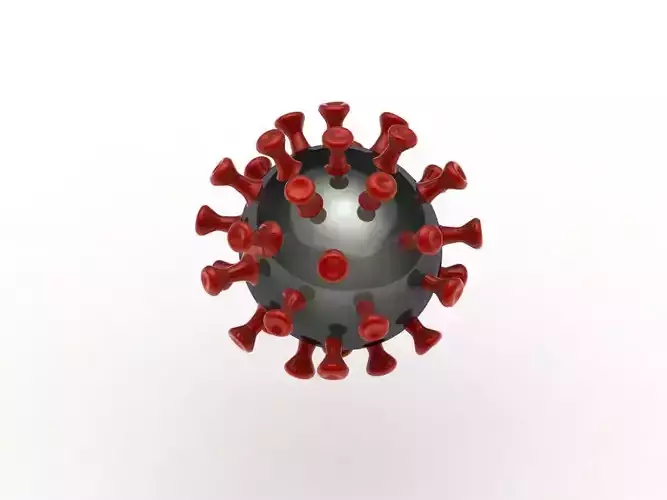covid 19 coronavirus