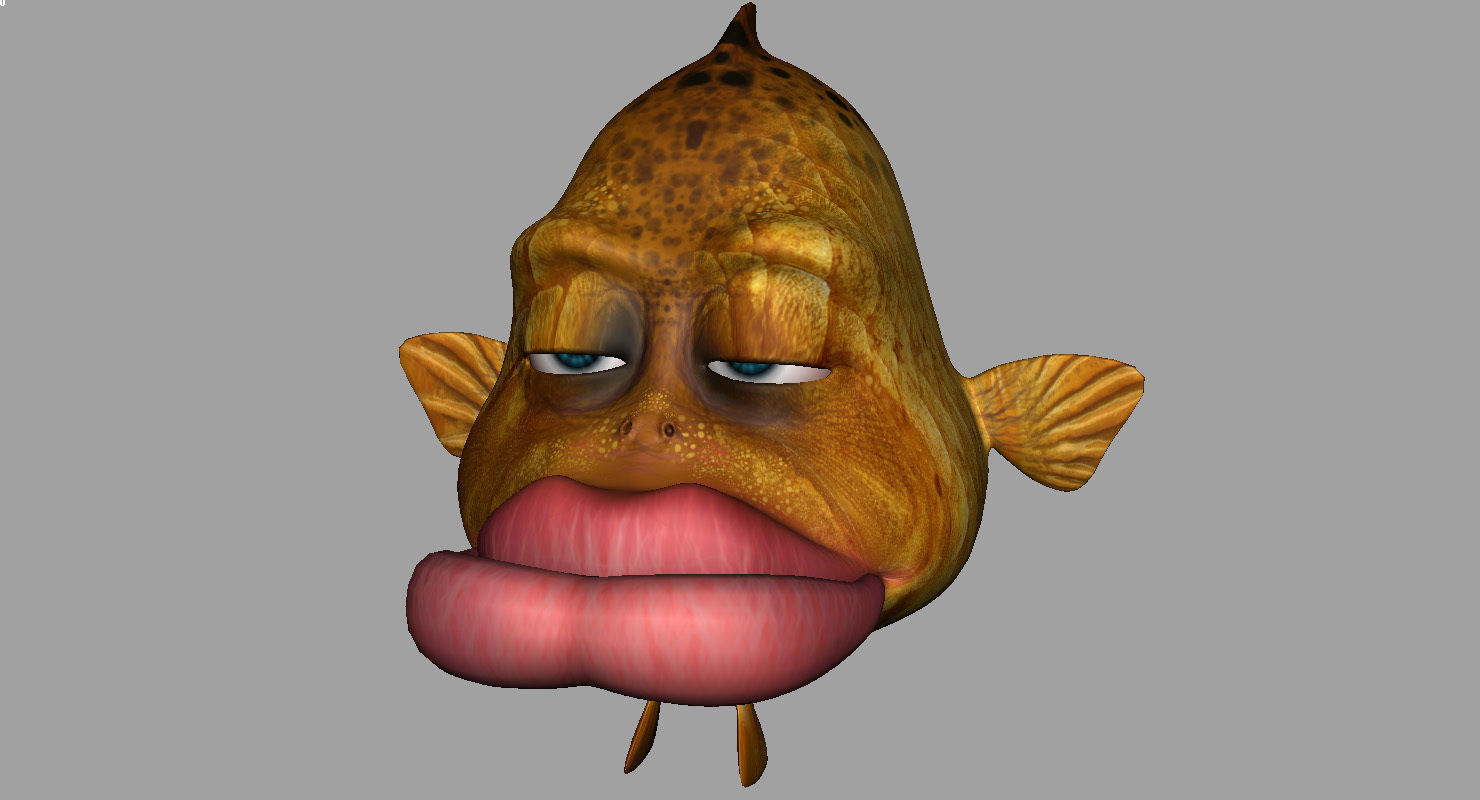 villon fish cartoon 3d rig model 3D model_13