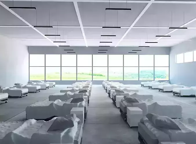 Temporary medical wards to quarantine 3D model