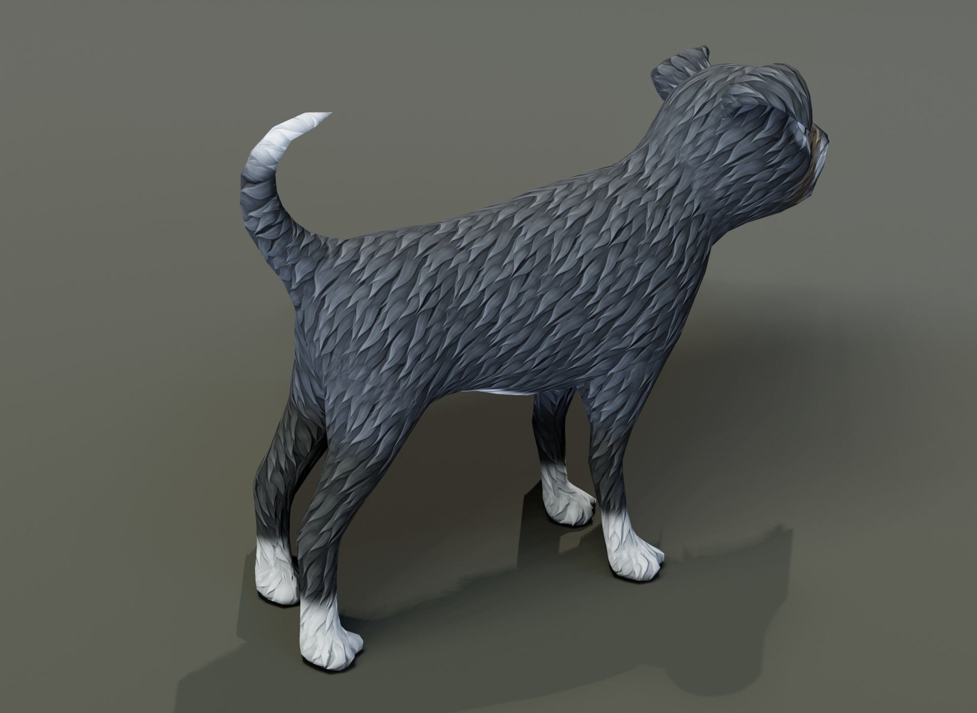 Cartoon Terrier Dog 3D Model Low-poly 3D model_12