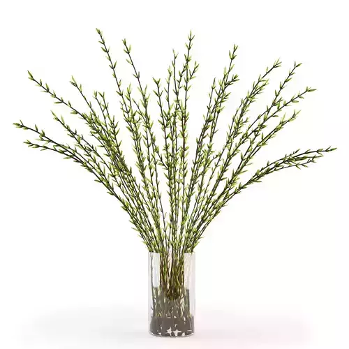 Branches in a vase 011