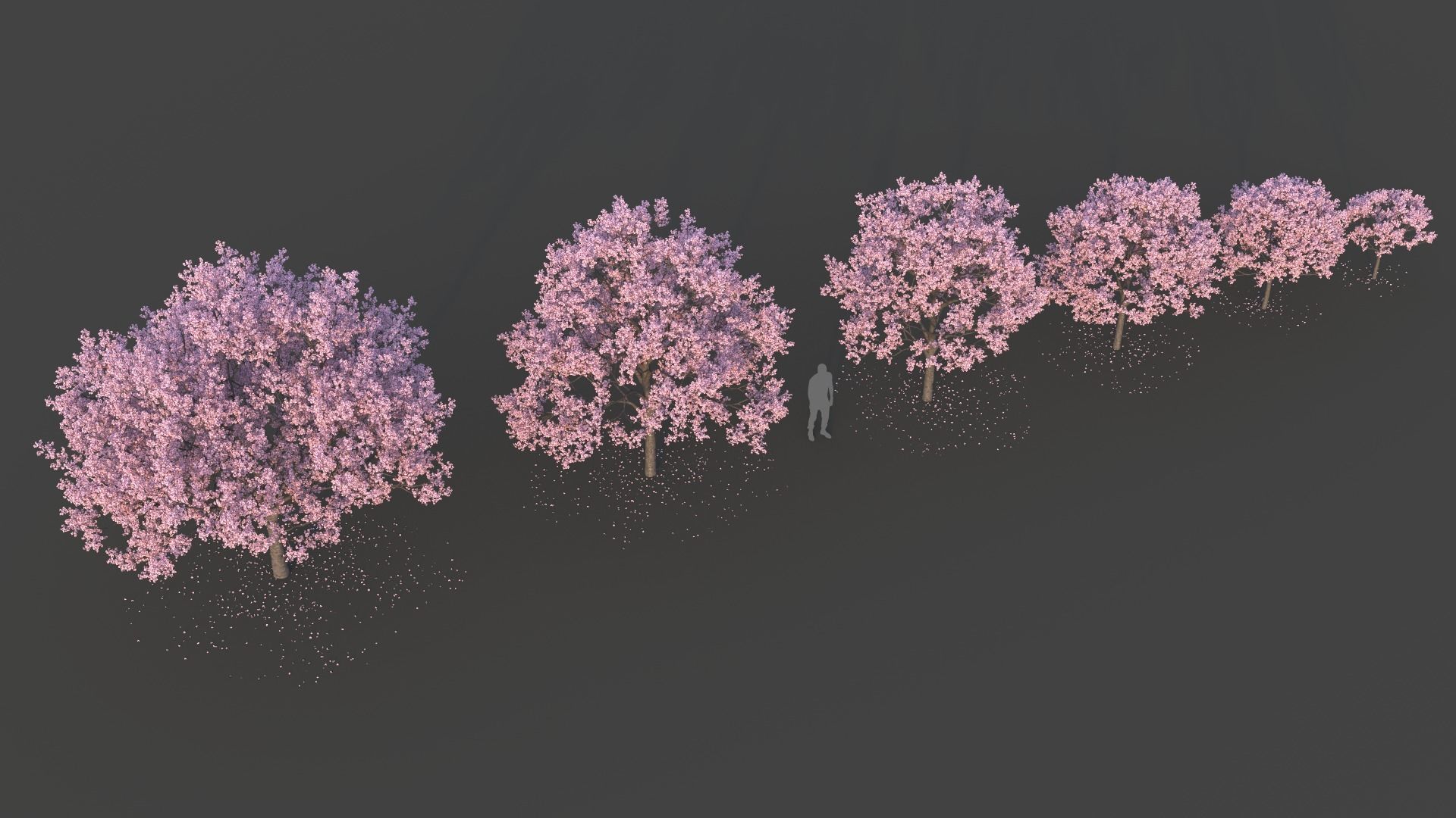 Sakura Tree Set 3D model_3