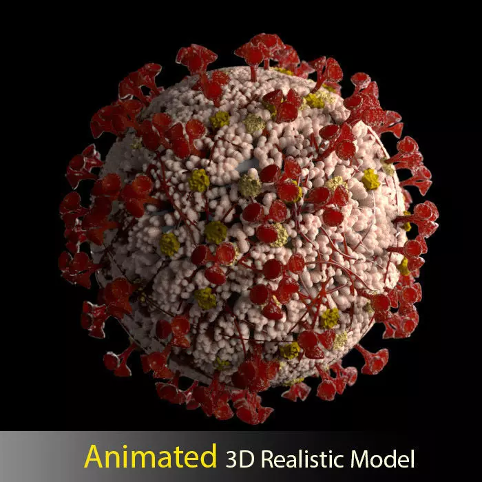 Animated Realistic Coronavirus SARS COV2 3D Model 3D model 3D model_0