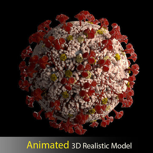 Animated Realistic Coronavirus SARS COV2 3D Model 3D model 3D model