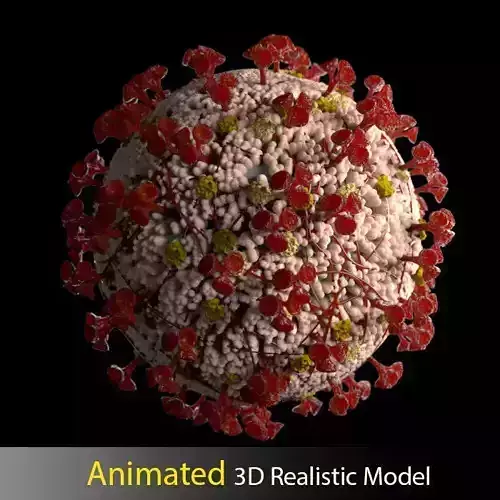 Animated Realistic Coronavirus SARS COV2 3D Model 3D model 3D model