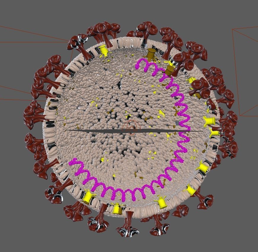 Animated Realistic Coronavirus SARS COV2 3D Model 3D model 3D model_1