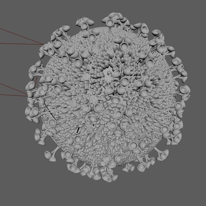 Animated Realistic Coronavirus SARS COV2 3D Model 3D model 3D model_4