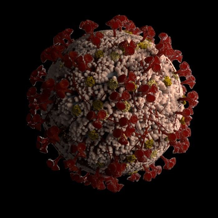Animated Realistic Coronavirus SARS COV2 3D Model 3D model 3D model_2