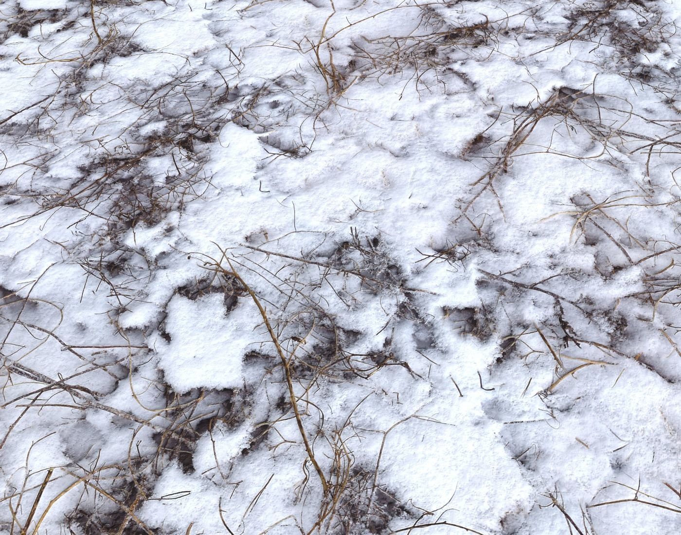 Snow terrain PBR pack 4 Texture_18