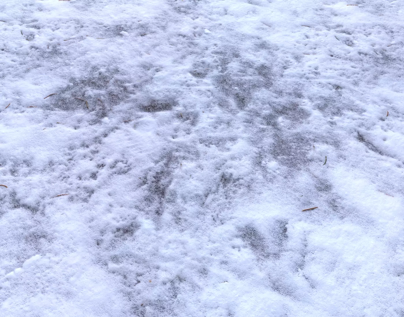 Snow terrain PBR pack 4 Texture_0