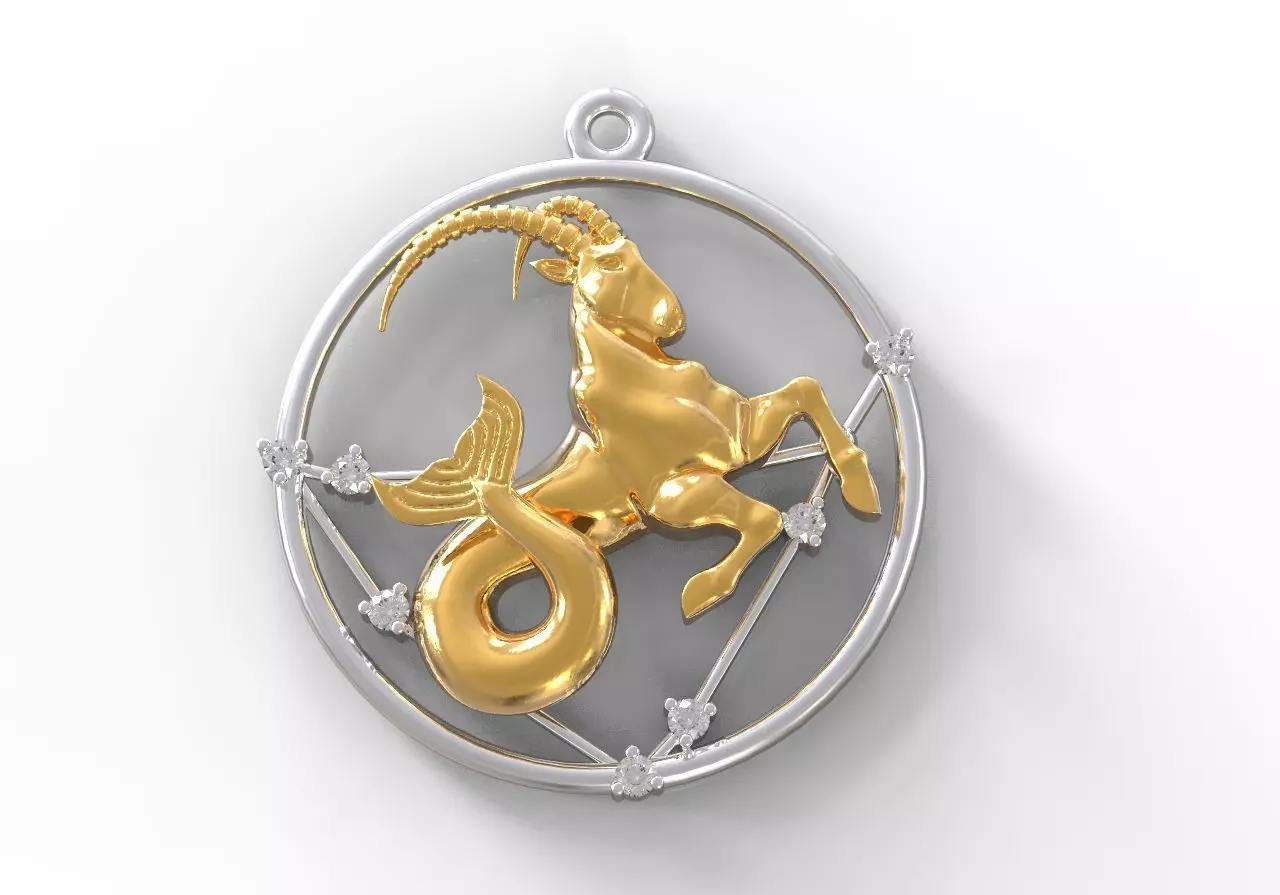 Capricorn constellation 3D print model_0