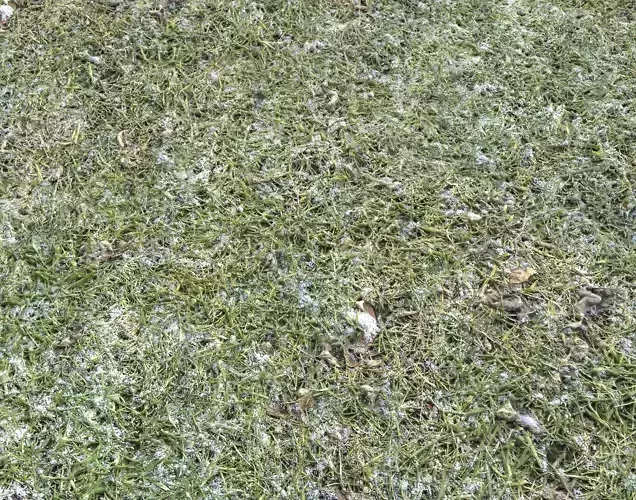 Snow terrain PBR pack 5