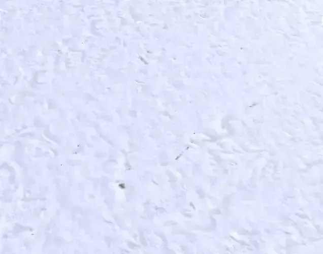 Snow terrain PBR pack 6 Texture