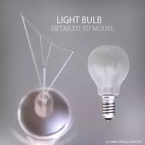 Detailed Light Bulb 3D model