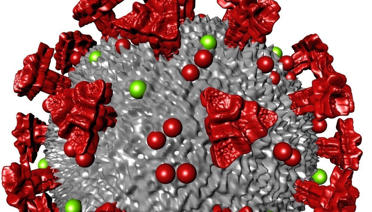 COVID-19 Corona virus 3D print model_2