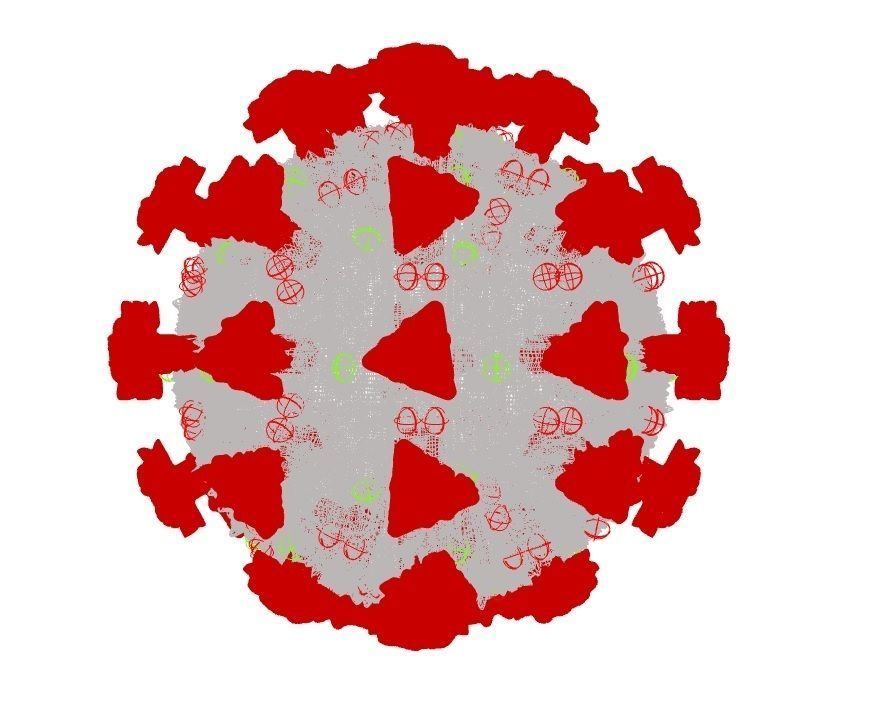 COVID-19 Corona virus 3D print model_4