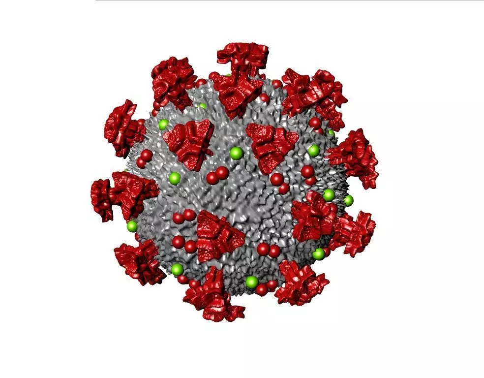 COVID-19 Corona virus 3D print model_0