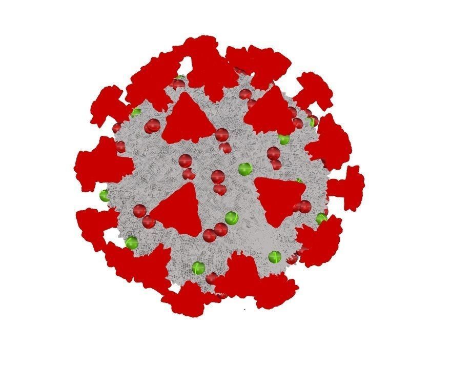 COVID-19 Corona virus 3D print model_3