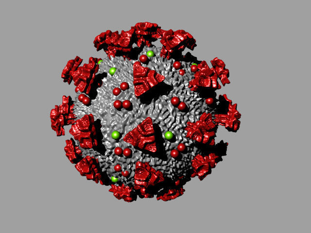COVID-19 Corona virus 3D print model_1