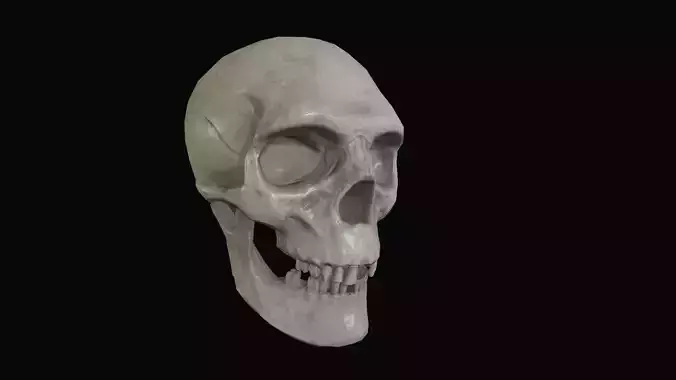 Low Poly Stylized Skull