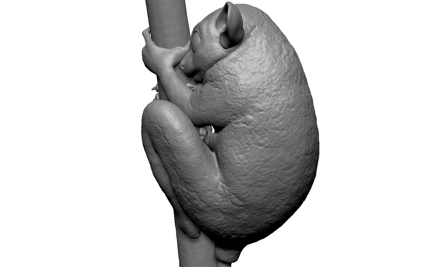 Tarsier gripping a branch 3D model_1