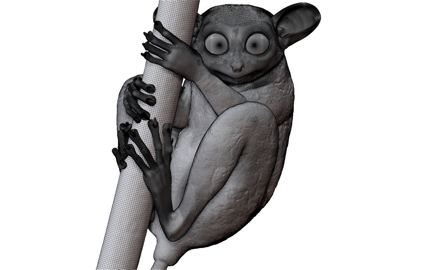Tarsier gripping a branch 3D model_14