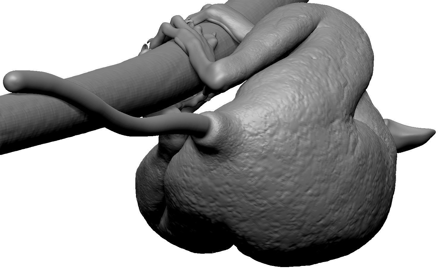 Tarsier gripping a branch 3D model_5