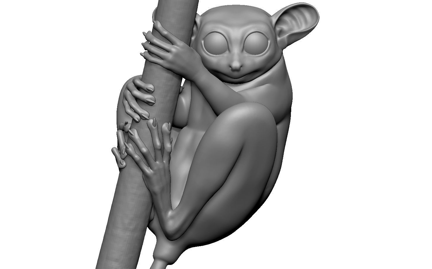 Tarsier gripping a branch 3D model_23