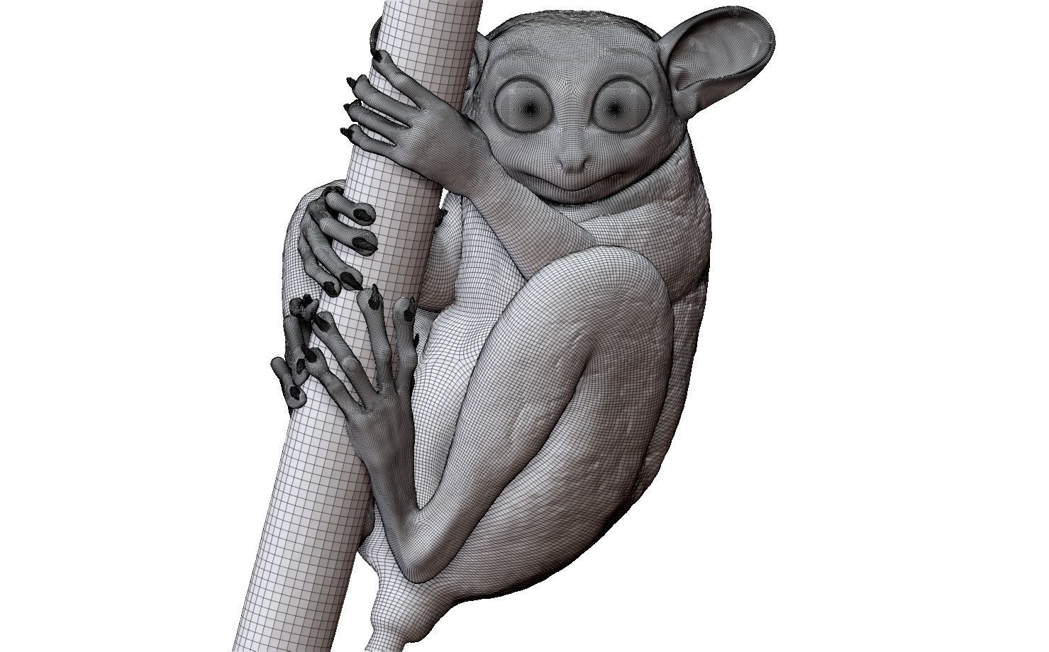 Tarsier gripping a branch 3D model_13