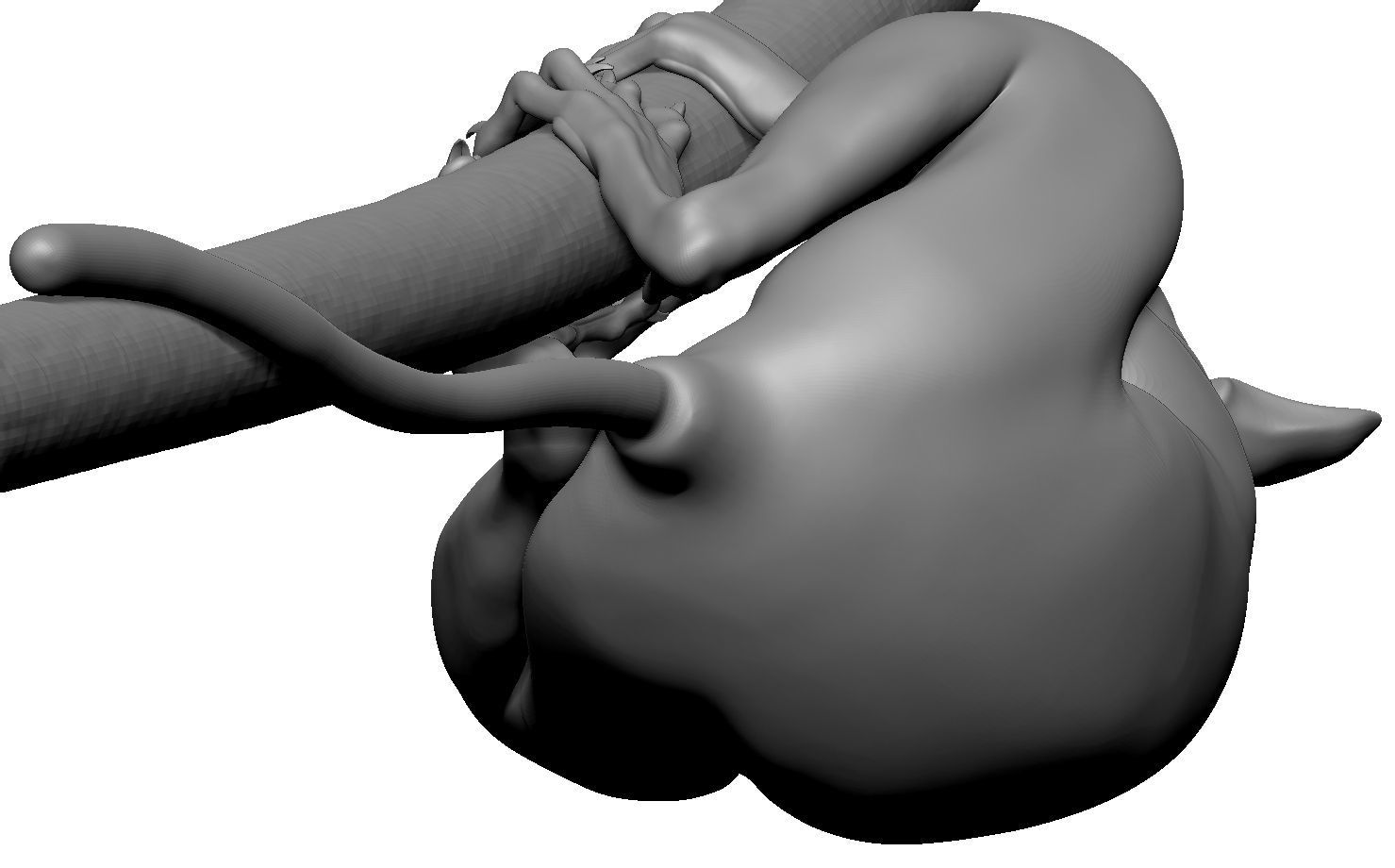 Tarsier gripping a branch 3D model_28