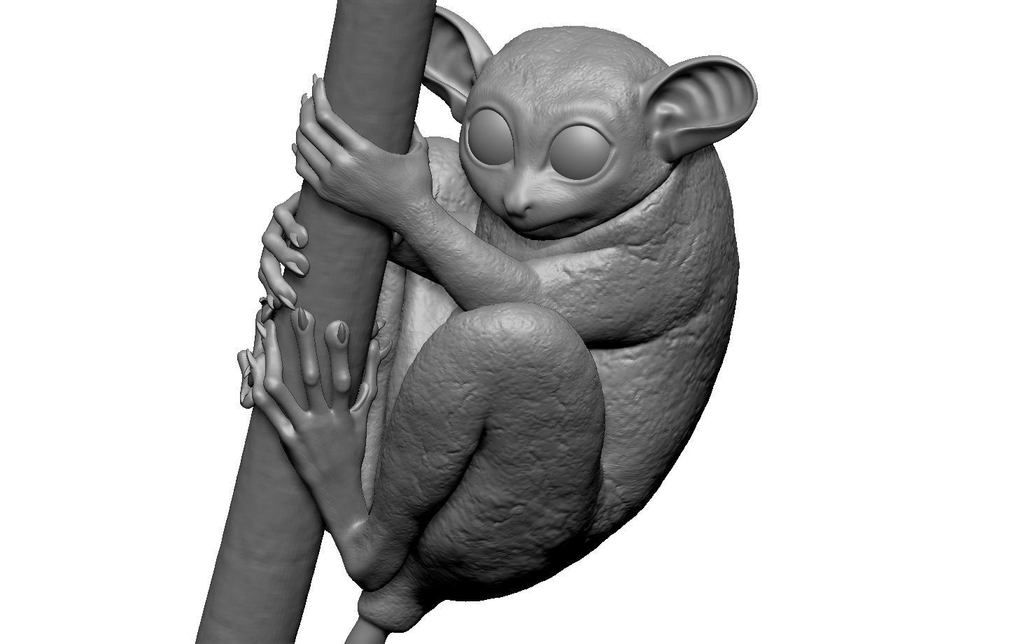 Tarsier gripping a branch 3D model_6