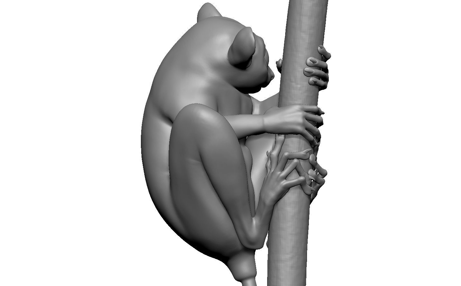 Tarsier gripping a branch 3D model_30