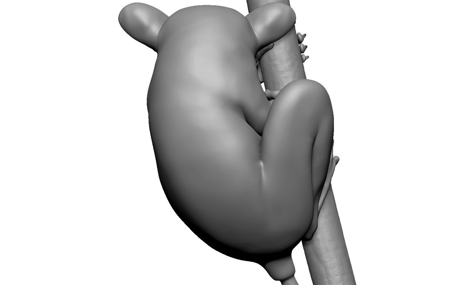 Tarsier gripping a branch 3D model_25