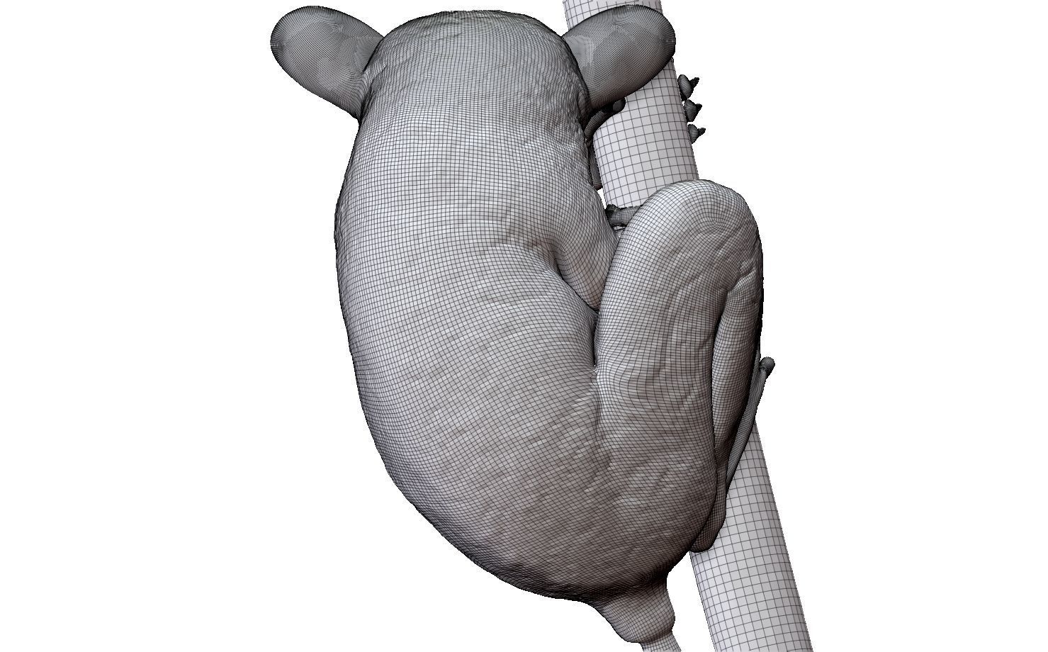 Tarsier gripping a branch 3D model_17