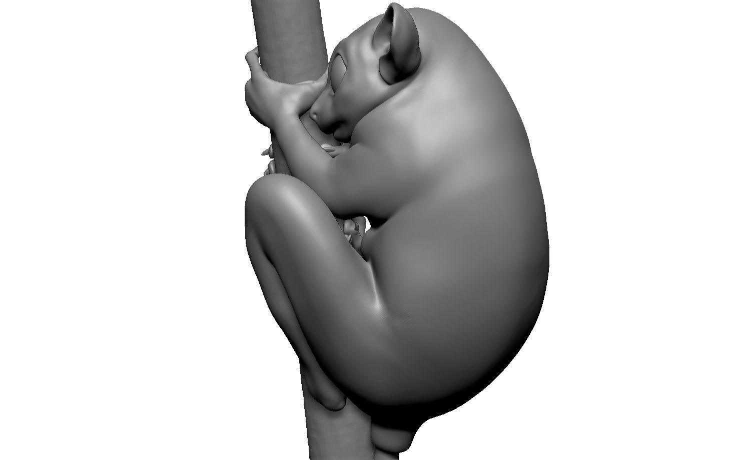 Tarsier gripping a branch 3D model_24
