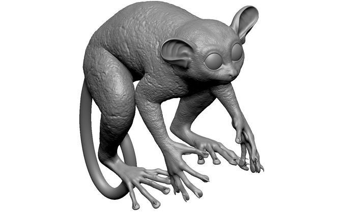 Tarsier Symmetrical 3D model