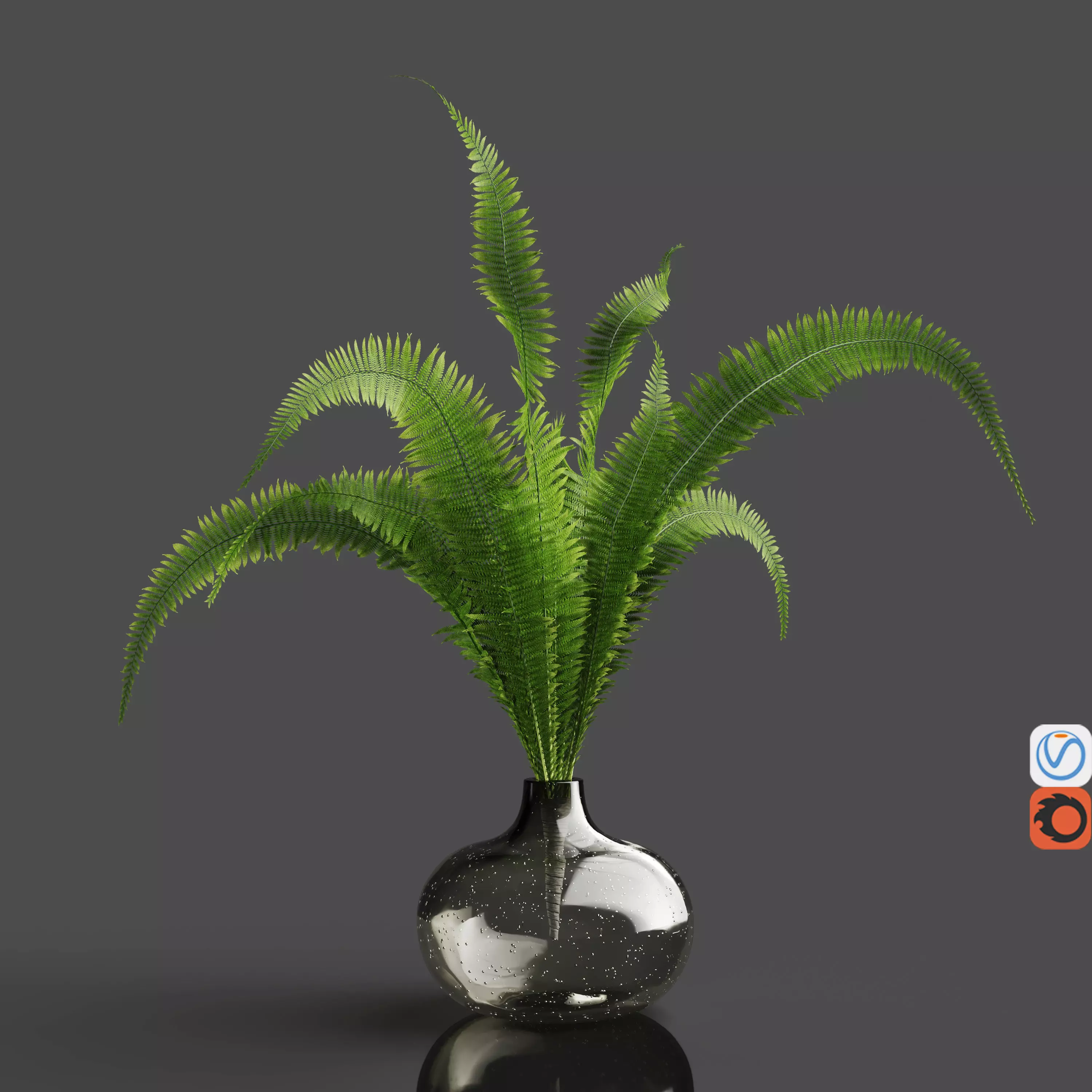 H18 gray tinted bubble glass drop vase with Fern 3D model