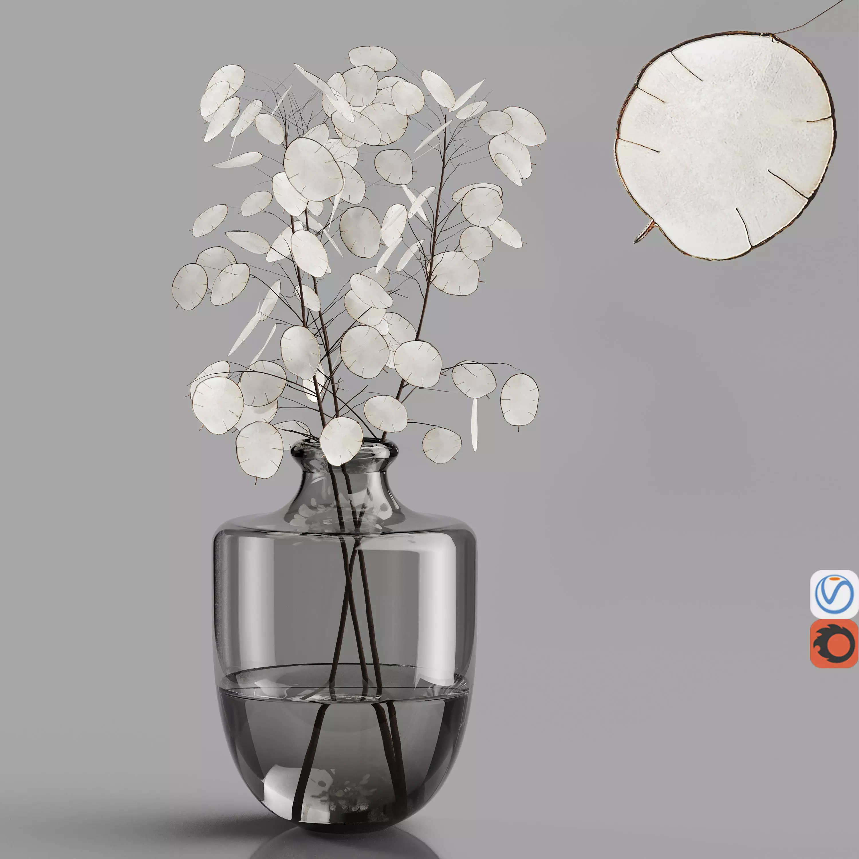 H24 Dark gray tinted glass vase with Lunaria 3D model