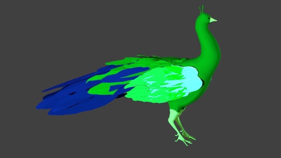 lowpoly  peacock bird Low-poly 3D model_1