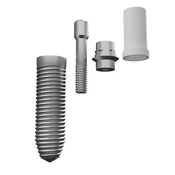 Dental implant 3D model_0