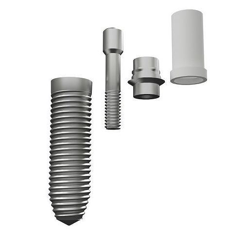 Dental implant 3D model