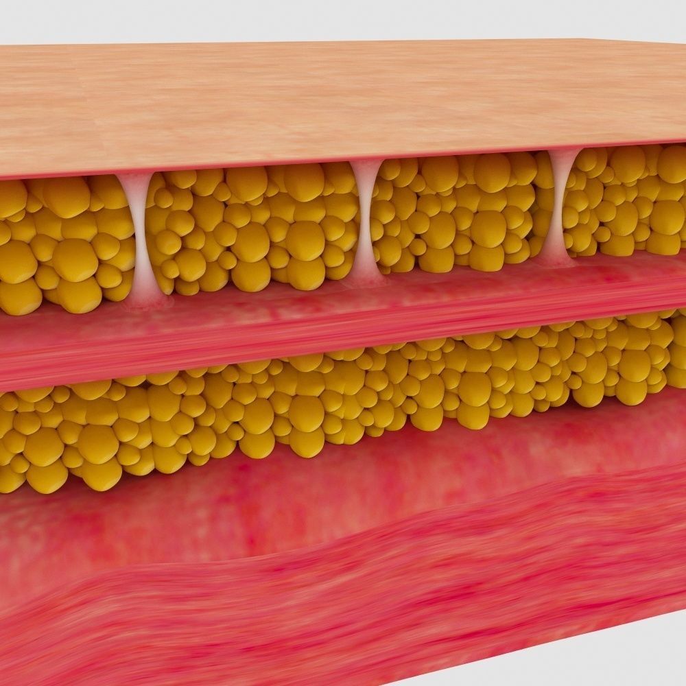 cellulite mattress 3D model_1