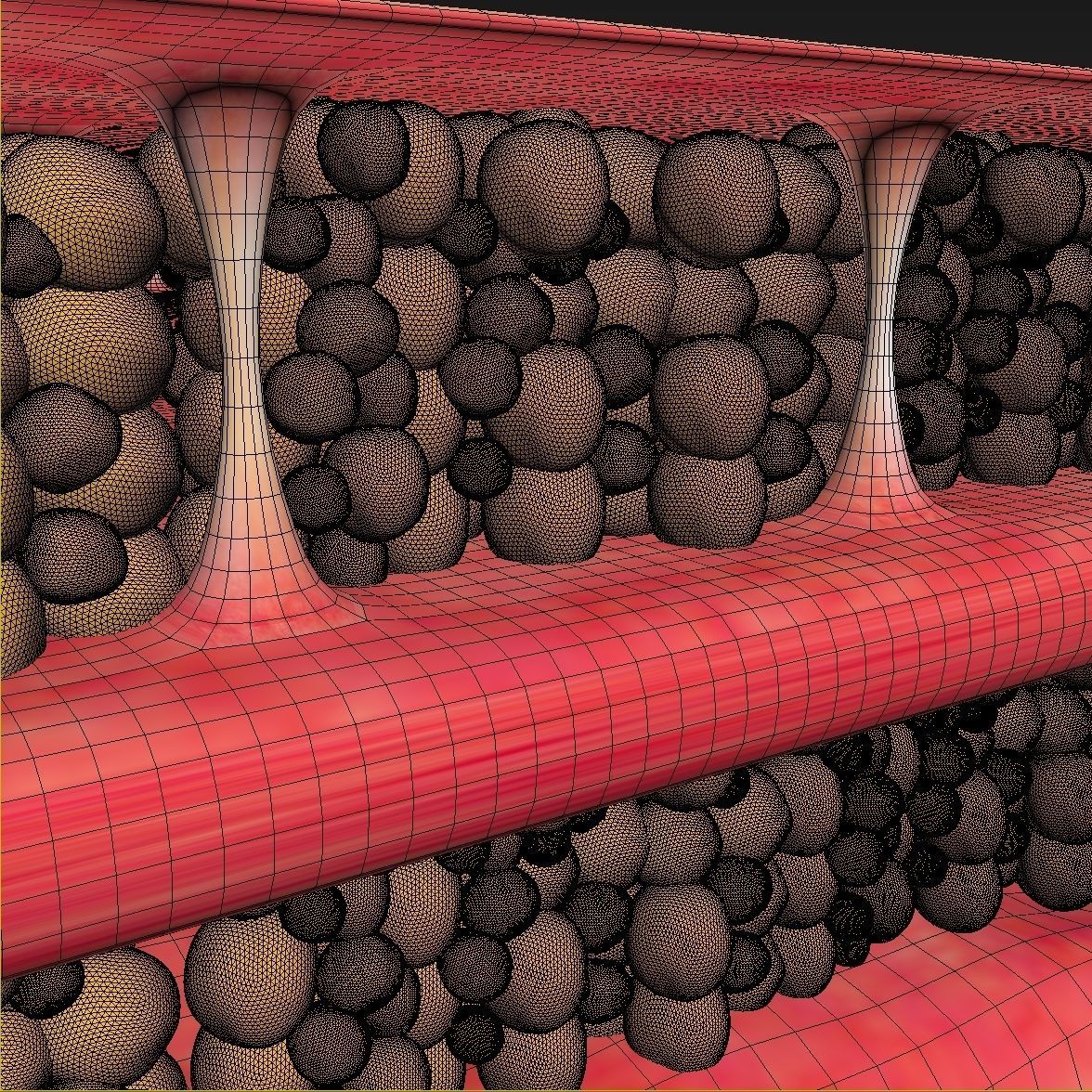 cellulite mattress 3D model_2