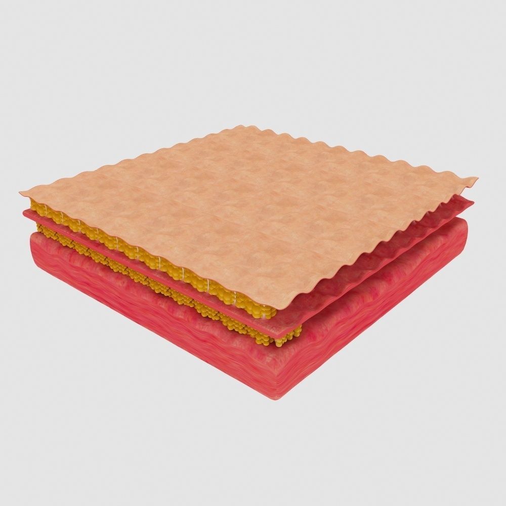 cellulite mattress 3D model_4