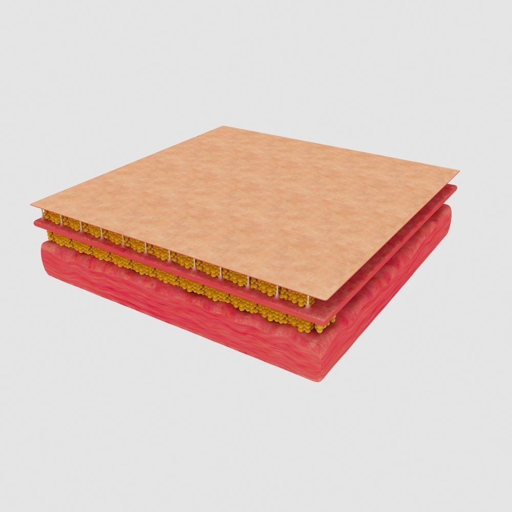 cellulite mattress 3D model_3