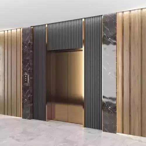 Elevator 2 door