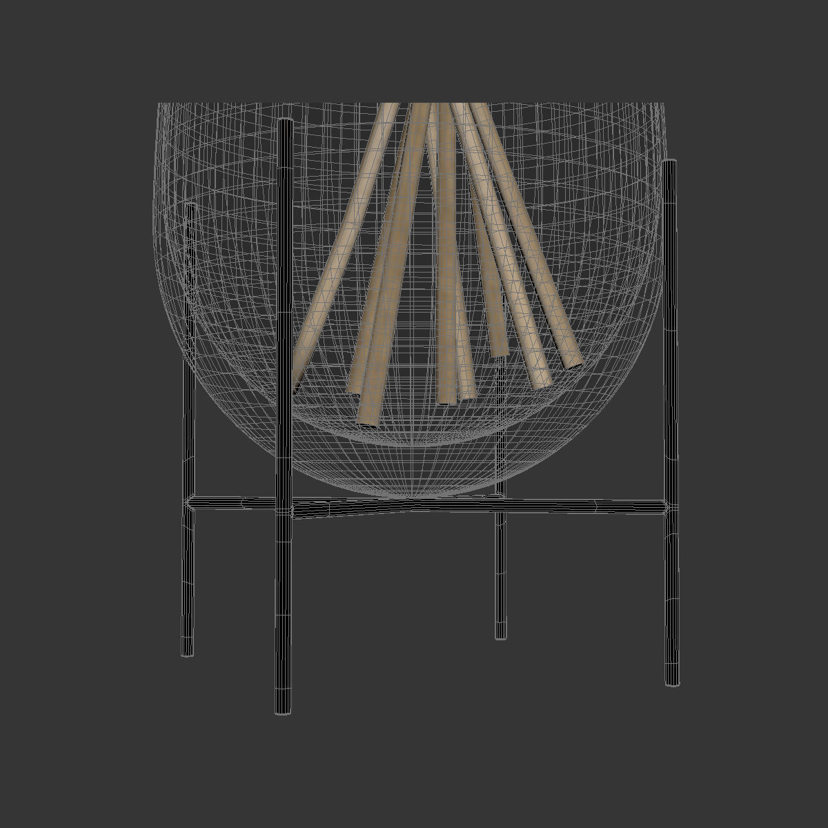 Big dried flower pampas grass in glass vase 5 3D model_10