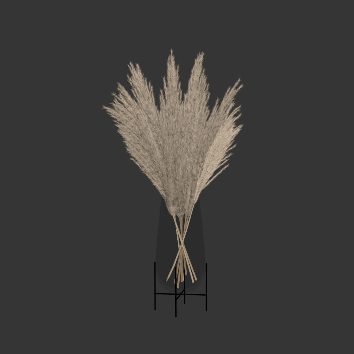 Big dried flower pampas grass in glass vase 5 3D model_5